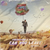 Can You Leave (My Mind) artwork
