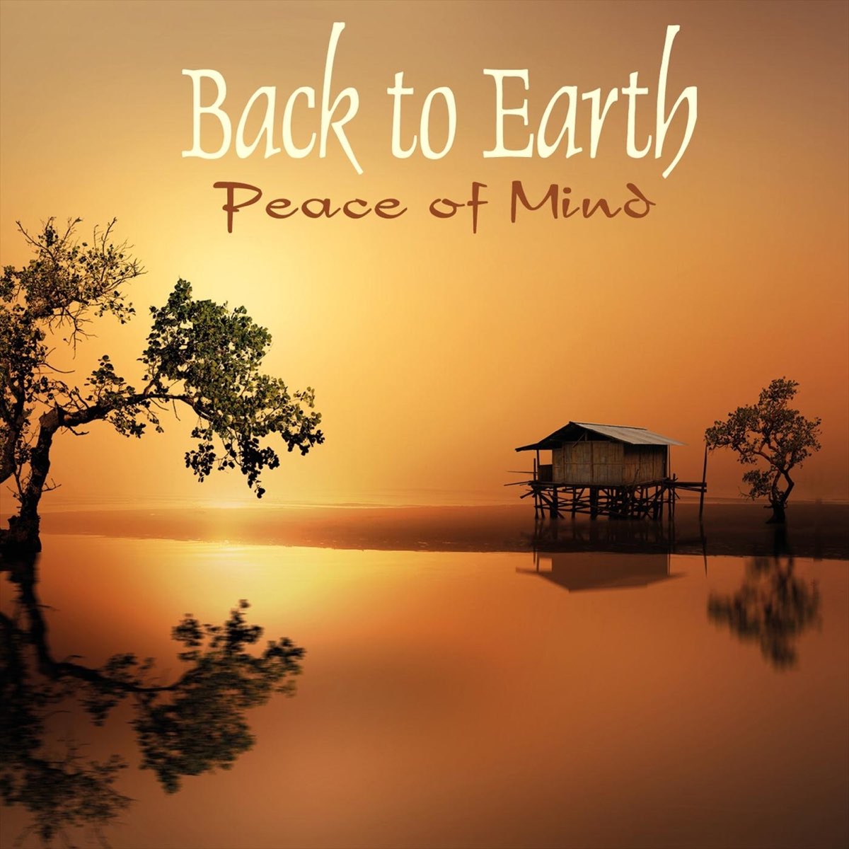 Back flac. Peace of Mind. Peace Earth.