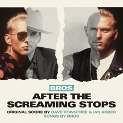 AFTER THE SCREAMING STOPS - OST cover art