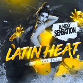 DJ Nicky Sensation - Latin Heat Live Mix 1