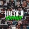 Life of a Yungn artwork