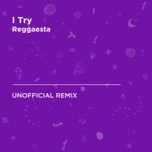 I Try (Macy Gray) [Reggaesta Unofficial Remix] artwork