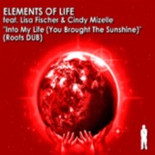 Into My Life (Dub Mixes) [feat. Lisa Fischer & Cindy Mizelle] - EP
