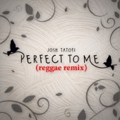 Perfect to Me Reggae Remix artwork