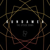 The Upside Down (Extended Club Mix) artwork