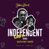 Independent Lady (Remix) - Single album lyrics, reviews, download