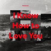I Know How to Love You artwork