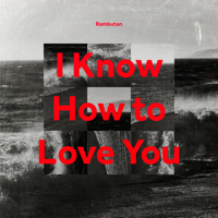 Rambutan - I Know How to Love You artwork