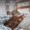 My Cat Loves to Chill: Chillout Your Mind