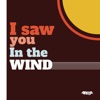 I Saw You in the Wind - Single