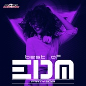 Best of EDM Party 2021 artwork