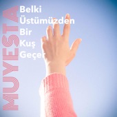 Belki Üstümüzden Bir Kuş Geçer artwork