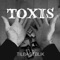 Tilbageblik - Isbjerg, Toxvaerd & Toxis lyrics