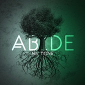 Abide (feat. Torey D'shaun & Drew Ava) artwork