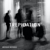 Trepidation by Stan Christ iTunes Track 1