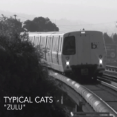 Zulu - Typical Cats