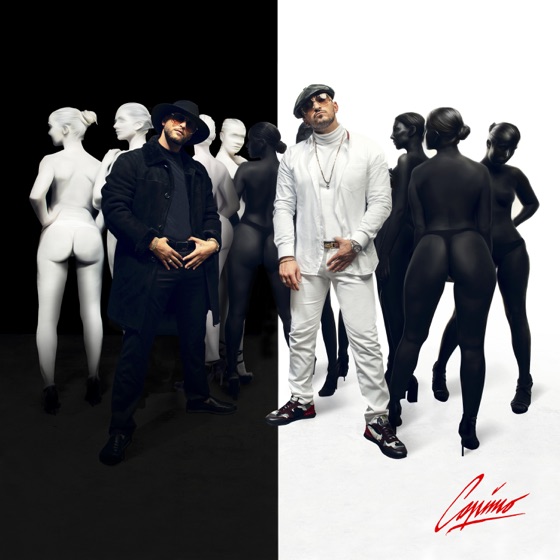 Cover artwork for Roadrunner