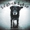 Seasick Steve - Diddley Bow + You Cant Teach An Old Dog New Tricks