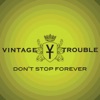 Don't Stop Forever - Single