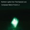 Northern Lights over That Special Love - Composer Melvin Fromm Jr lyrics