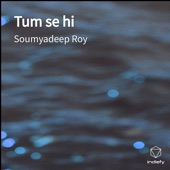 Tum Se Hi artwork