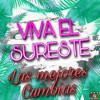 Viva El Sureste - Las Mejores Cumbias