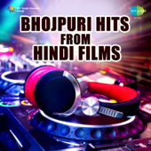 Bhojpuri Hits from Hindi Films - Various Artists