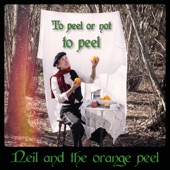 Neil and the orange peel - Endless dreams