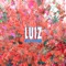 Luiz - MusicScreen lyrics