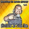 Los Éxitos de Sonido Samurai, Vol. 1