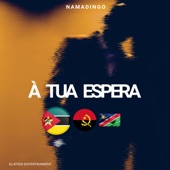 A Tua Espera artwork