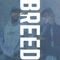 Breed (feat. Shiwan) - Naj The Leader lyrics