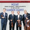 Guarneri Quartet, Arnold Steinhardt, John Dalley, Michael Tree & David Soyer - String Quartet No. 14 in G, K. 387: 4. Molto allegro