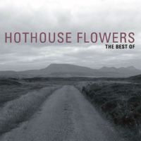 Hothouse Flowers - Don't Go artwork