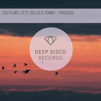 Paradise by Costa Mee & Pete Bellis & Tommy song reviws