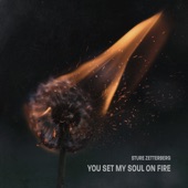You Set My Soul on Fire (feat. LaKesha Nugent) artwork