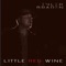 Little Red Wine - Tyler Braden lyrics