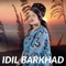 Raad - Idil Barkhad lyrics