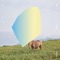 Anywhere - my young animal lyrics