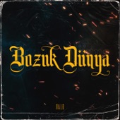 Bozuk Dünya artwork