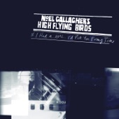 Noel Gallagher's High Flying Birds - If I Had A Gun...