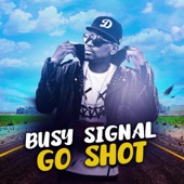 Go Shot artwork