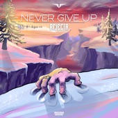 Never Give Up (Extended Mix) artwork