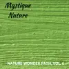 Mystique Nature - Nature Wonder Path, Vol. 6 album lyrics, reviews, download