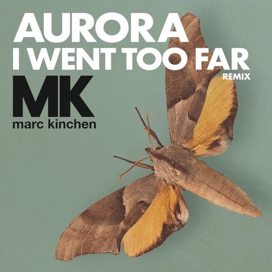 Cover artwork for I Went Too Far (MK Remix) [Radio Version]