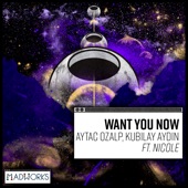 Want You Now (feat. Nicole) artwork