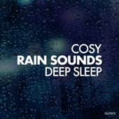 Cosy Rain Sounds for Deep Sleep artwork