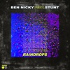Raindrops by Ben Nicky iTunes Track 1