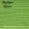 Mystique Nature - Amusement Experience With Nature, Vol. 9 album lyrics, reviews, download