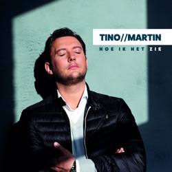 Tino Martin & Gerard Joling - Stip Op Nummer 1